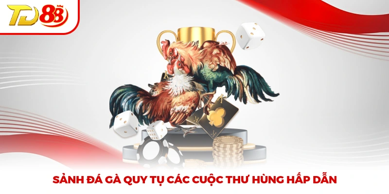 Sảnh đá gà quy tụ các cuộc thư hùng hấp dẫn